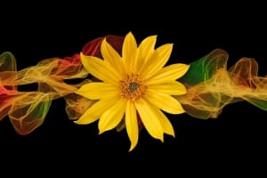Metaphysics of Manifestation: Sound, Intention, Spirit @ Hidden Lake Retreat | Eagle Creek | Oregon | United States